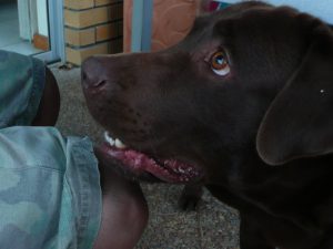 RELIABILITY AND VALIDITY